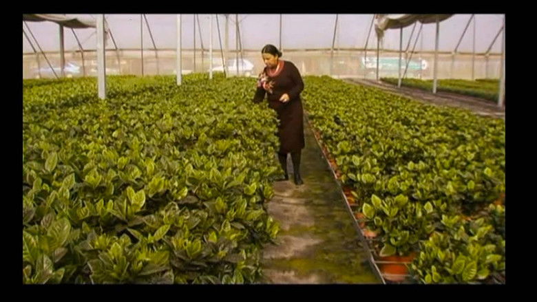 кадр из фильма חממה