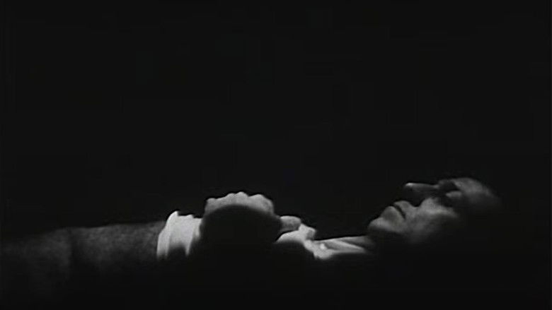 кадр из фильма Everynight... Everynight