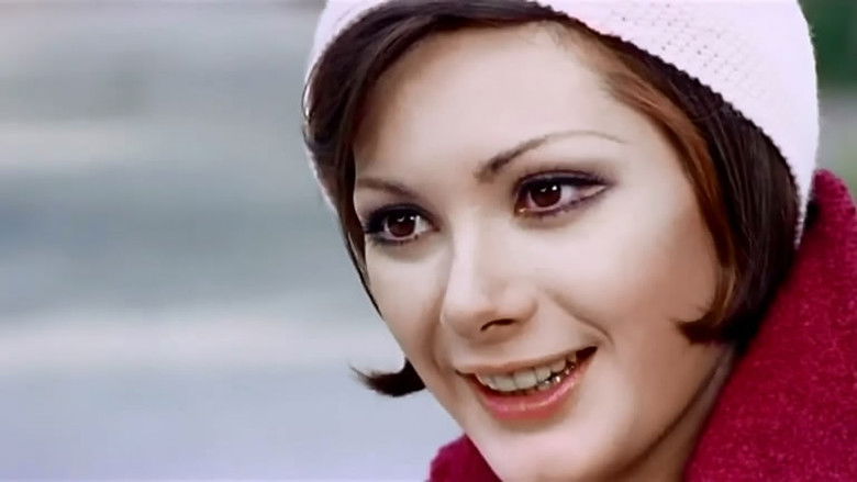 кадр из фильма Глаз чёрного кота