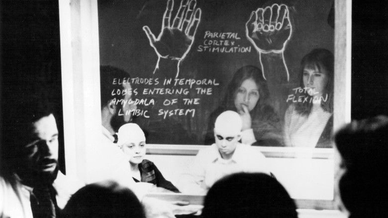 кадр из фильма Vortex