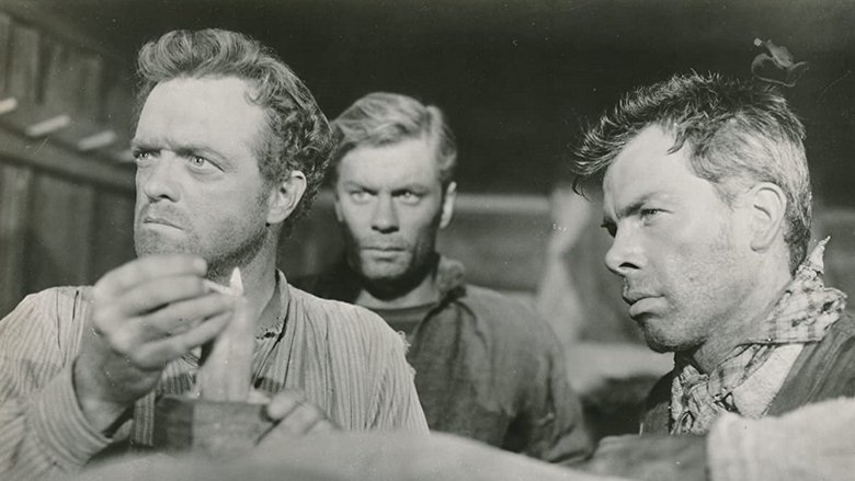 кадр из фильма The Raid