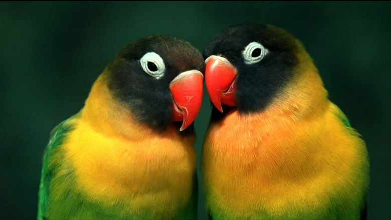 кадр из фильма Генезис