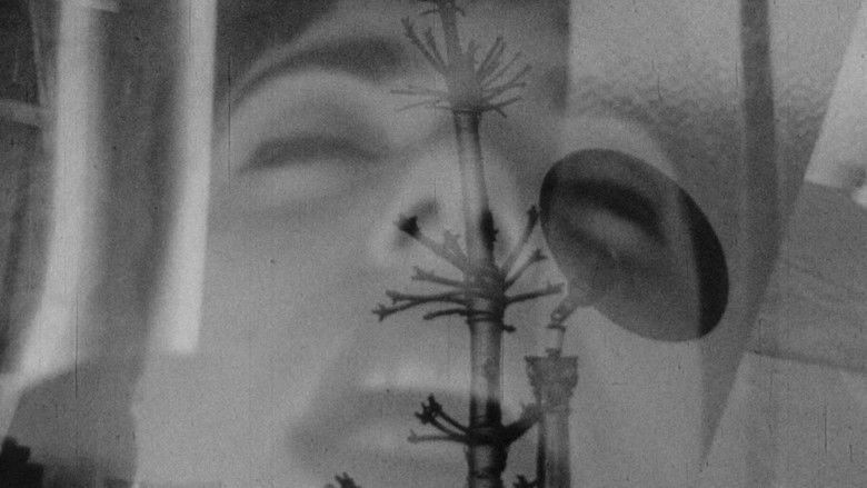 кадр из фильма Safer Sexual Techniques in the Age of Mechanical Reproduction