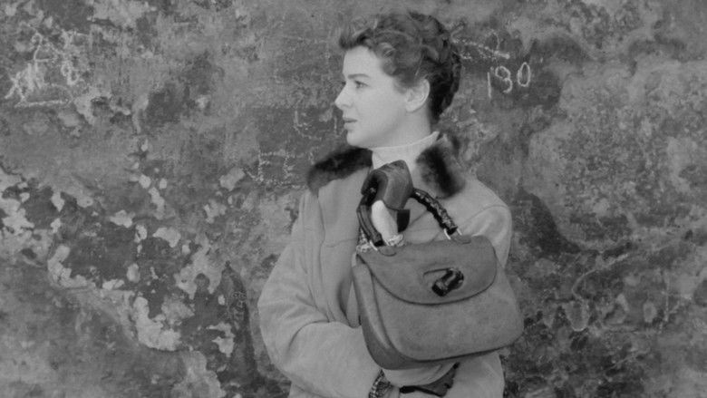 кадр из фильма Подруги