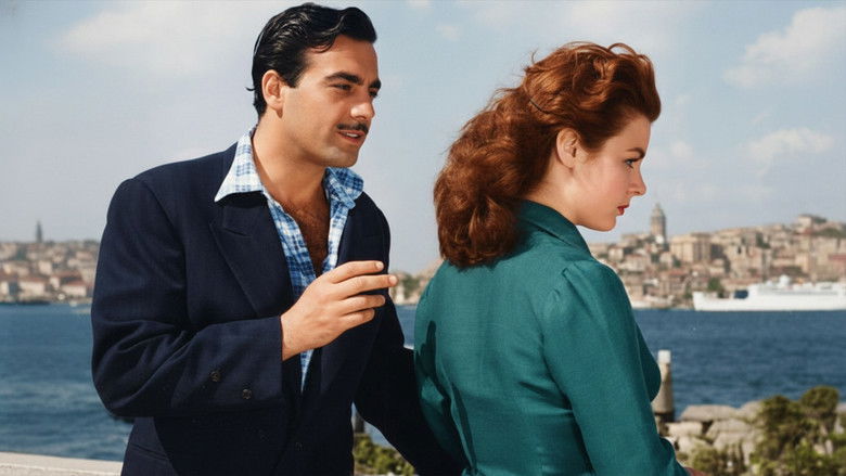 кадр из фильма Avare Mustafa