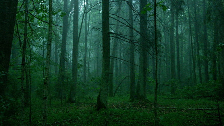 кадр из фильма Sengirė