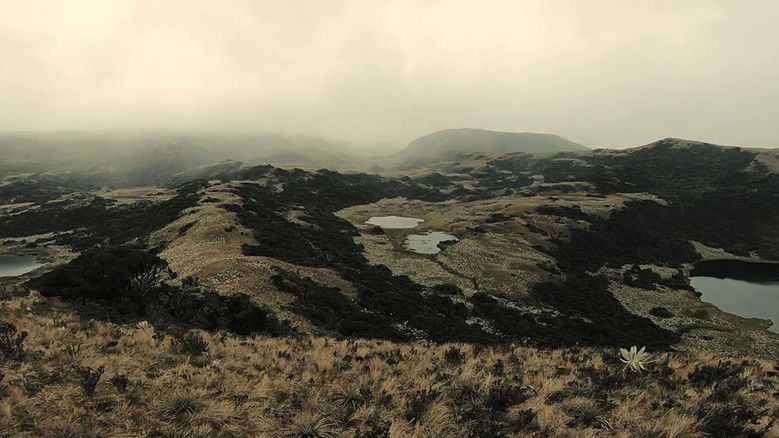 кадр из фильма Vole… Soulève toi et vole