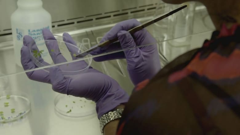 кадр из фильма OGM - Mensonges et Vérités