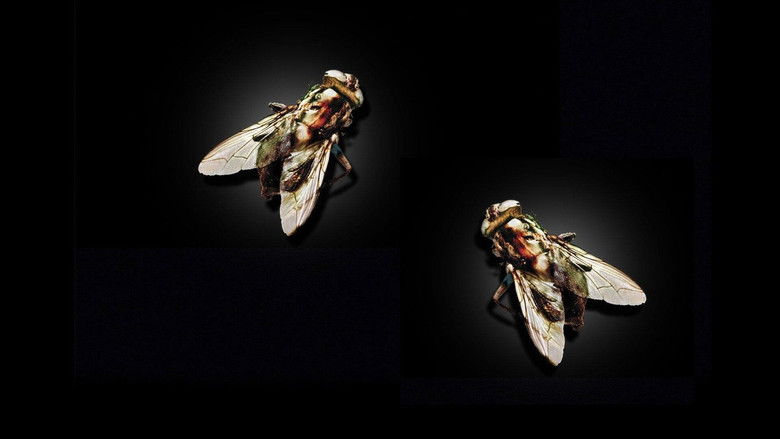 кадр из фильма Муха 2