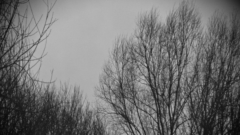 кадр из фильма In Winter
