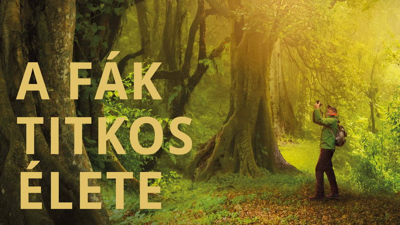 кадр из фильма Das geheime Leben der Bäume