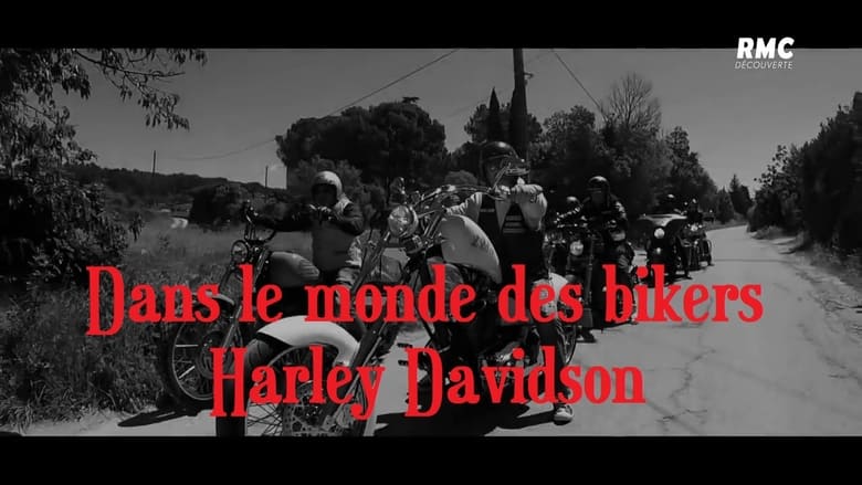 Dans le monde des bikers Harley Davidson