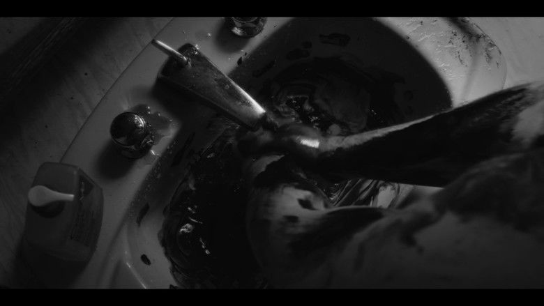 кадр из фильма Seraph's Sorrow