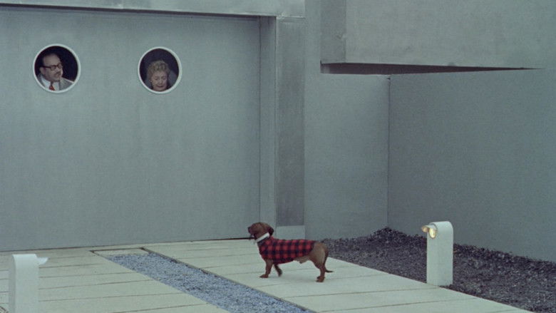 кадр из фильма Мой дядюшка