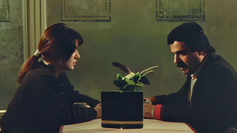 кадр из фильма Allahım Sen Bilirsin