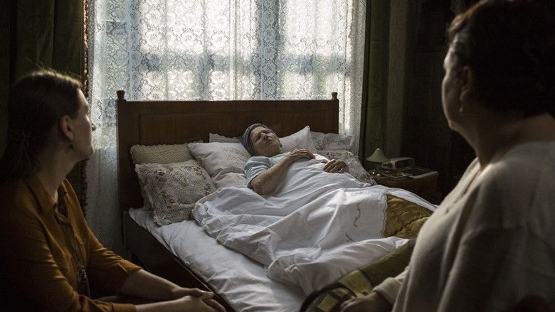 кадр из фильма Koncentriši se, baba