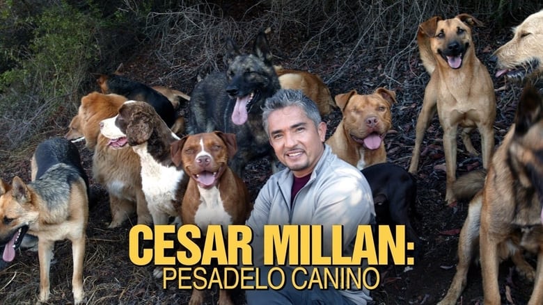 кадр из фильма Cesar Millan: Doggie Nightmares