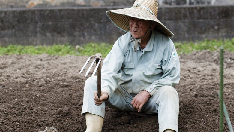 кадр из фильма The Longevity Film