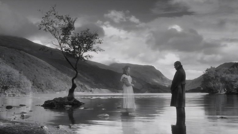 кадр из фильма Tanau'r Lloer
