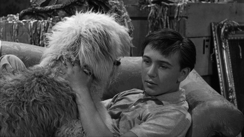 кадр из фильма Лохматый пёс