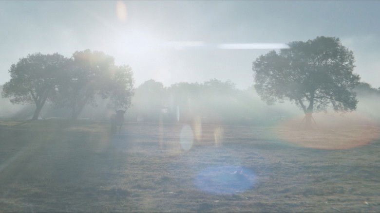 кадр из фильма Наше время