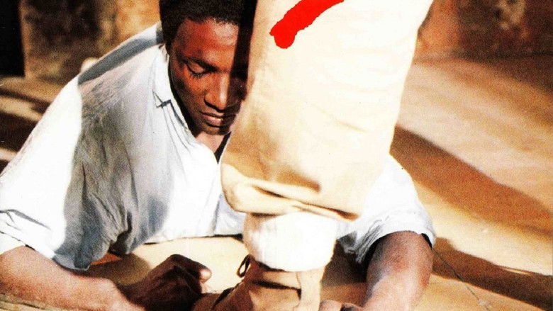 кадр из фильма Arrêt sur image