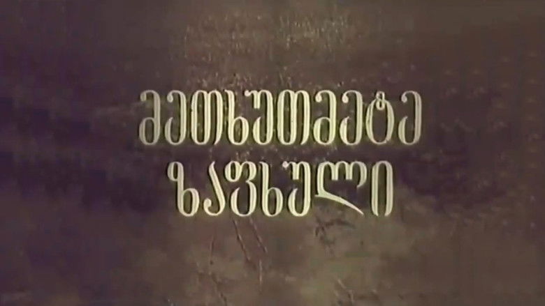 кадр из фильма მეთხუთმეტე ზაფხული