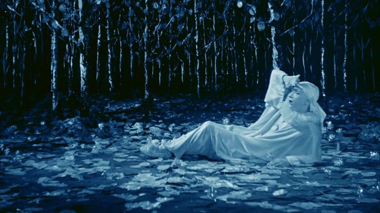 кадр из фильма Rabbit's Moon