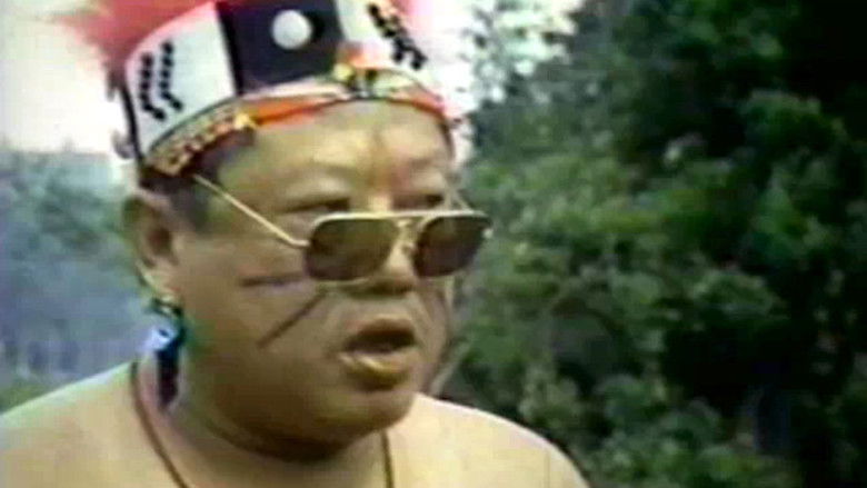 кадр из фильма 酋长的女儿