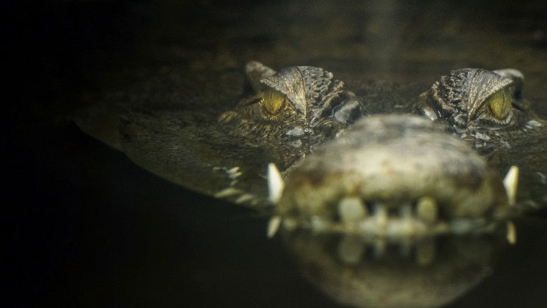 кадр из фильма Lair Of The Killer Crocs