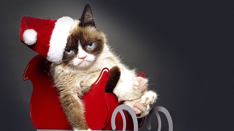 кадр из фильма Худшее Рождество сердитой кошки