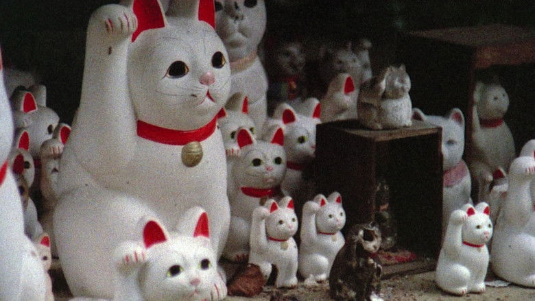 кадр из фильма Без солнца