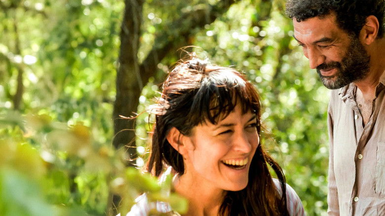 кадр из фильма Остановка на лето