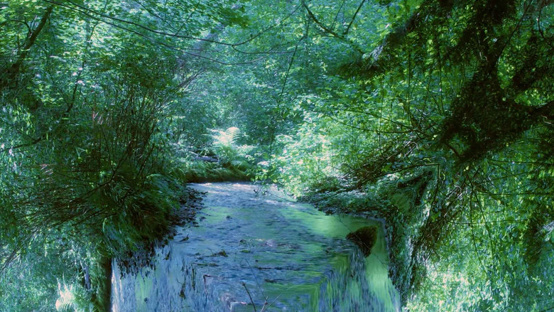 кадр из фильма I Watched Her Grow