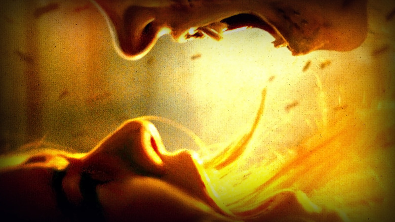 кадр из фильма Назови своё имя