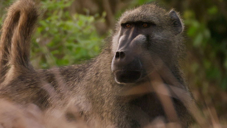 кадр из фильма Return of the Predators