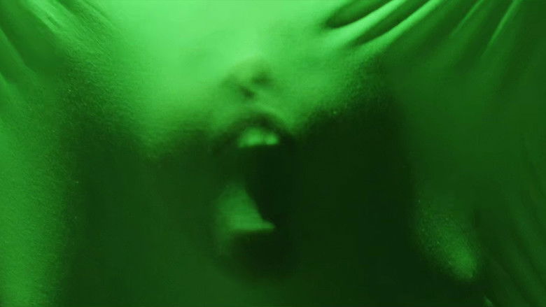 кадр из фильма Il nido del ragno