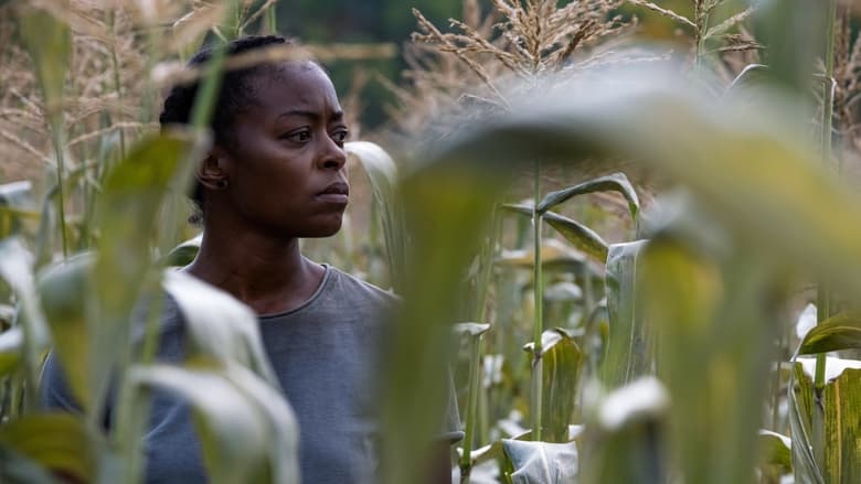 кадр из фильма 40 Акров