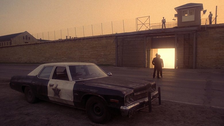 кадр из фильма Братья Блюз