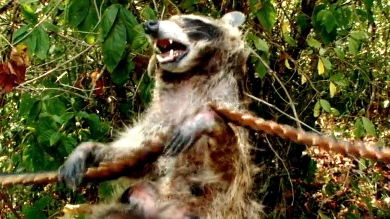 кадр из фильма Coons! Night of the Bandits of the Night