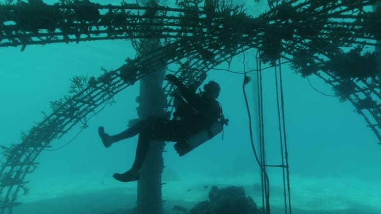 кадр из фильма Bora Bora, le laboratoire du futur