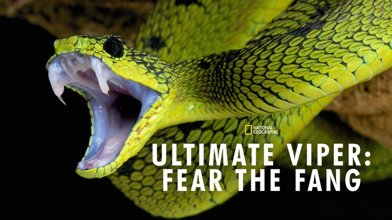 кадр из фильма Ultimate Viper: Fear the Fang