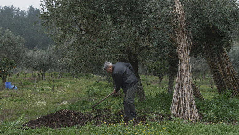 Nos printemps passés ne reviendront plus