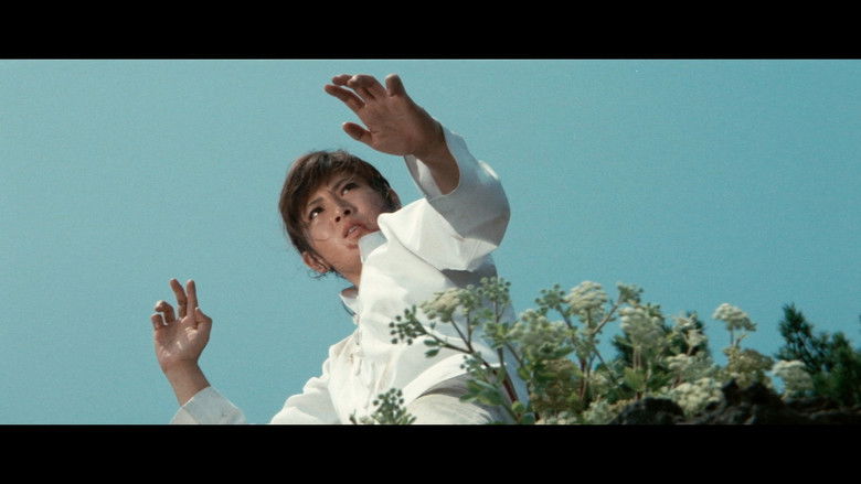 кадр из фильма Леди карате