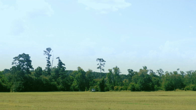 кадр из фильма Crabs In A Bucket