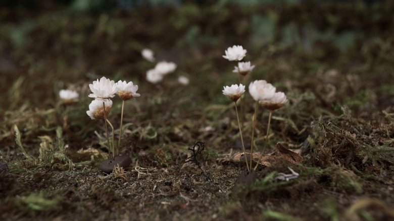 кадр из фильма Fim