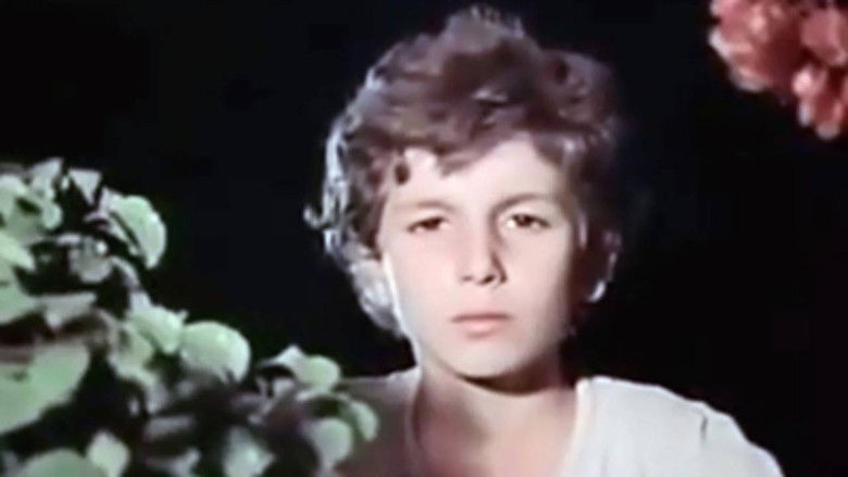 кадр из фильма Дорога к Давиду Сасунскому