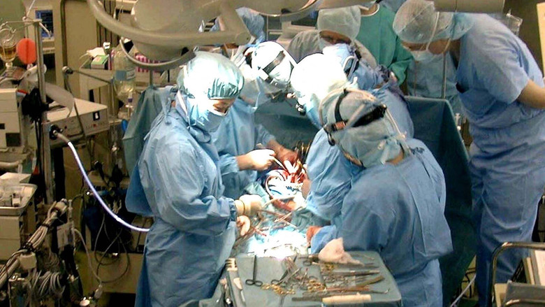 кадр из фильма Der Streit um den Hirntod – Organspende auf dem Prüfstand