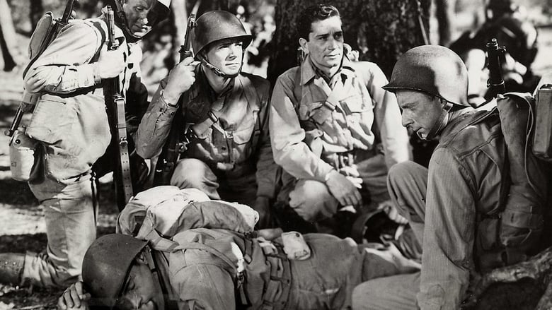 Прогулка под солнцем