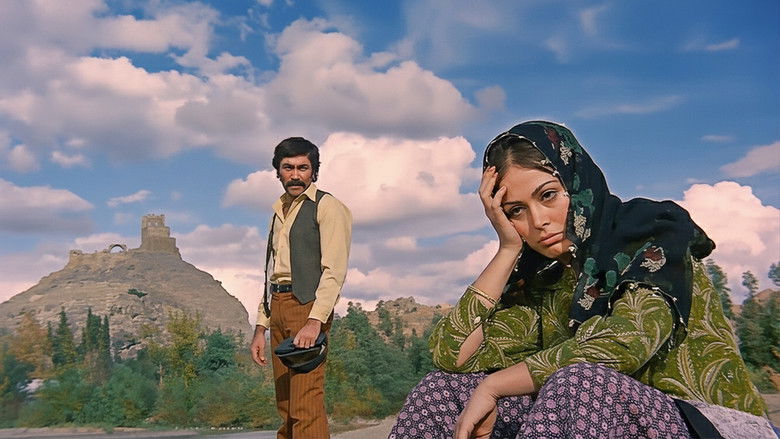 кадр из фильма Долг чести